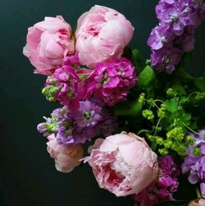 Meet your Posher, Leticia